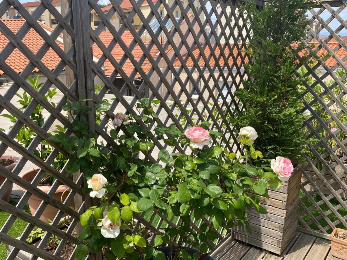 Le Patio Pere Pigne Guestroom ペルピニャン エクステリア 写真